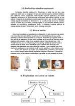 Biznesa plāns 'SIA ''Pirtiņš''', 12.