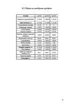 Biznesa plāns 'SIA ''Pirtiņš''', 20.