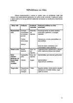 Biznesa plāns 'SIA ''Pirtiņš''', 21.