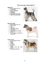 Referāts 'Klaiņojošie mājdzīvnieki un ar tiem saistītās problēmas Salaspils pilsētā', 56.