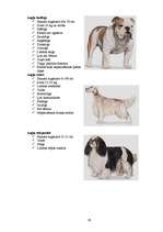 Referāts 'Klaiņojošie mājdzīvnieki un ar tiem saistītās problēmas Salaspils pilsētā', 59.