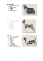 Referāts 'Klaiņojošie mājdzīvnieki un ar tiem saistītās problēmas Salaspils pilsētā', 61.