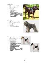 Referāts 'Klaiņojošie mājdzīvnieki un ar tiem saistītās problēmas Salaspils pilsētā', 70.