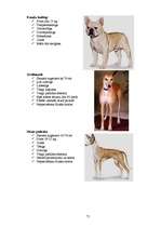 Referāts 'Klaiņojošie mājdzīvnieki un ar tiem saistītās problēmas Salaspils pilsētā', 71.