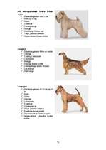 Referāts 'Klaiņojošie mājdzīvnieki un ar tiem saistītās problēmas Salaspils pilsētā', 72.
