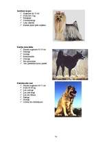 Referāts 'Klaiņojošie mājdzīvnieki un ar tiem saistītās problēmas Salaspils pilsētā', 74.