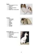 Referāts 'Klaiņojošie mājdzīvnieki un ar tiem saistītās problēmas Salaspils pilsētā', 81.