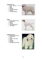 Referāts 'Klaiņojošie mājdzīvnieki un ar tiem saistītās problēmas Salaspils pilsētā', 82.