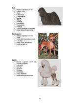 Referāts 'Klaiņojošie mājdzīvnieki un ar tiem saistītās problēmas Salaspils pilsētā', 84.