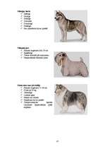 Referāts 'Klaiņojošie mājdzīvnieki un ar tiem saistītās problēmas Salaspils pilsētā', 87.