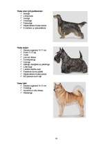 Referāts 'Klaiņojošie mājdzīvnieki un ar tiem saistītās problēmas Salaspils pilsētā', 88.