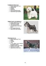 Referāts 'Klaiņojošie mājdzīvnieki un ar tiem saistītās problēmas Salaspils pilsētā', 94.