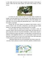 Eseja 'Ainažu tūrisma resursu analīze un jauna tūrisma produkta piedāvājums', 9.