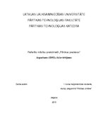 Konspekts 'Aspartāms, tā izvērtējums', 1.