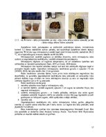 Referāts 'Mikroaļğu ekstraktu izmantošanas efektivitāte un ekonomiskais pamatojums mikroza', 17.