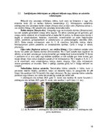 Referāts 'Mikroaļğu ekstraktu izmantošanas efektivitāte un ekonomiskais pamatojums mikroza', 18.