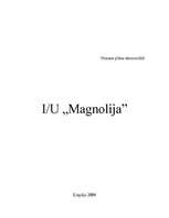 Biznesa plāns 'Biznesa plāns I/U "Magnolija"', 1.