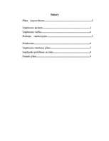 Biznesa plāns 'Biznesa plāns I/U "Magnolija"', 2.