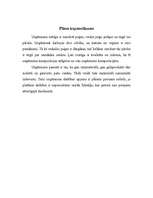 Biznesa plāns 'Biznesa plāns I/U "Magnolija"', 3.