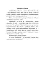 Biznesa plāns 'Biznesa plāns I/U "Magnolija"', 4.