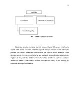 Biznesa plāns 'Biznesa plāna izstrāde  uzņēmumam SIA "Rausīši"', 13.