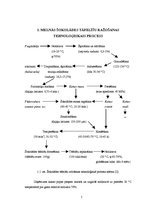 Referāts 'Melnās šokolādes tāfelīšu ražošanas tehnoloģiskās iekārtas', 5.