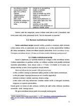 Referāts 'Personāla motivēšanas būtība un loma uzņēmuma sociālajā menedžmentā', 12.