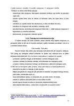 Referāts 'Personāla motivēšanas būtība un loma uzņēmuma sociālajā menedžmentā', 13.