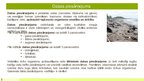 Prezentācija 'Projekts "Dabas piesārņojums"', 2.
