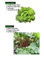 Prakses atskaite 'Dārzeņu pirmapstrāde', 4.