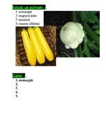 Prakses atskaite 'Dārzeņu pirmapstrāde', 12.