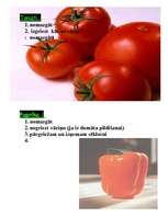 Prakses atskaite 'Dārzeņu pirmapstrāde', 14.