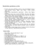 Referāts 'Āfrika', 4.