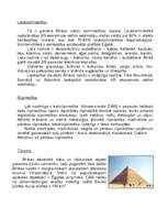 Referāts 'Āfrika', 5.