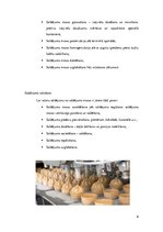 Referāts 'Saldējuma sastāvdaļu kvalitatīvā analīze', 9.