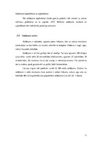 Referāts 'Saldējuma sastāvdaļu kvalitatīvā analīze', 11.