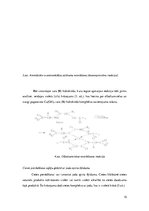 Referāts 'Saldējuma sastāvdaļu kvalitatīvā analīze', 15.