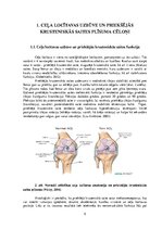 Referāts 'Preventīvie pasākumi, lai novērstu priekšējās krusteniskās saites plīsuma riskus', 5.