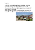 Konspekts 'Velobrauciens ar uzdevumiem', 8.