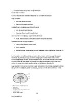 Referāts 'Kravu apstrādes tehnoloģiskā procesa tehniskais nodrošinājums', 3.