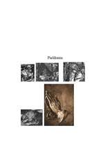 Referāts 'Reformācijas ideju atklāsme. Alberta Dīrera daiļrade', 7.