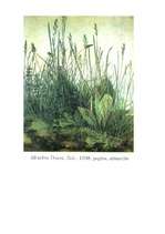 Referāts 'Reformācijas ideju atklāsme. Alberta Dīrera daiļrade', 8.