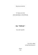 Biznesa plāns 'SIA "Winge"', 1.