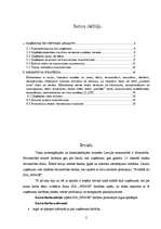 Biznesa plāns 'SIA "Winge"', 2.