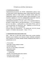 Biznesa plāns 'SIA "Winge"', 6.