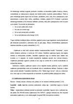 Biznesa plāns 'SIA "Winge"', 17.