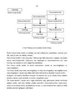 Diplomdarbs 'Latvijas auto tirgus analīze', 45.