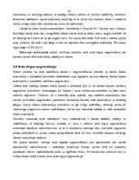 Diplomdarbs 'Latvijas auto tirgus analīze', 61.