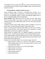 Diplomdarbs 'Latvijas auto tirgus analīze', 66.