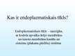 Prezentācija 'Endoplazmatiskais tīkls', 2.